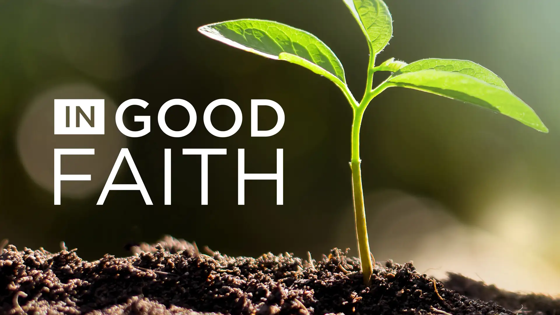 In Good Faith