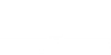 The InBESTigators