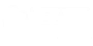 Constant Wonder