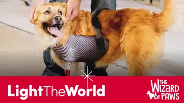 Leo's Gift