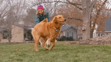 Zoey