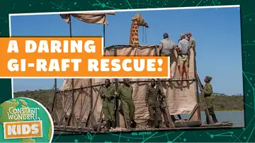 Replay: A Daring Gi-Raft Rescue