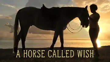A Horse Called Wish