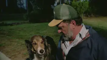 It's a Dog's Life