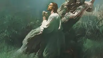 "I Have Trodden The Wine Press Alone": Atonement