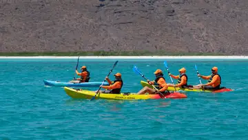 Paddles Away!