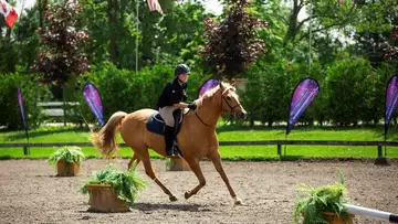Equestrian